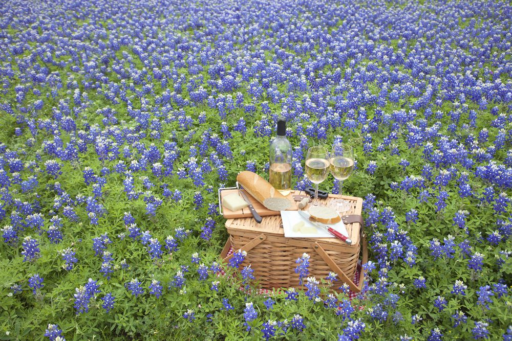 The Best Hill Country Wineries and Vineyards
