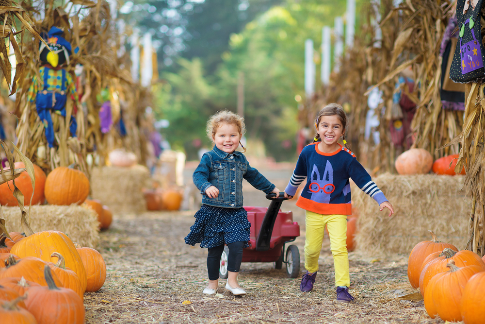 Best Fall Festivals in Texas