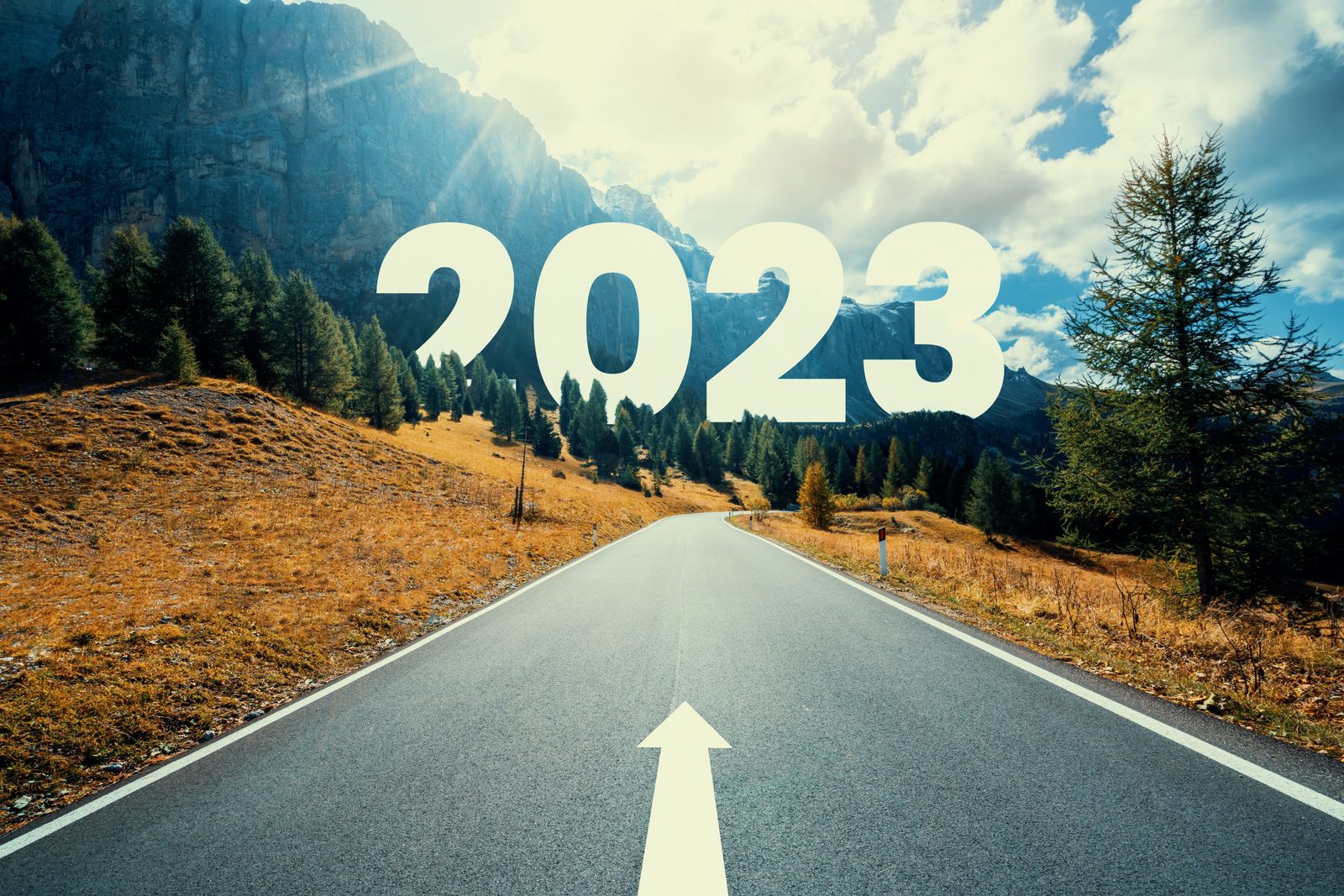 Tips to Manage Your Small Business Successfully in 2023
